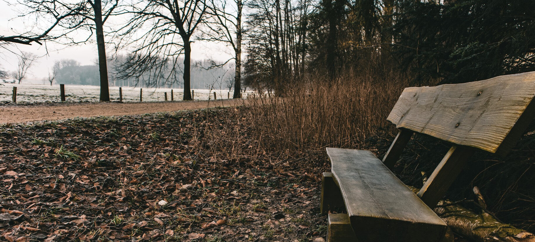 De Eros, el amor y sus naturalezas